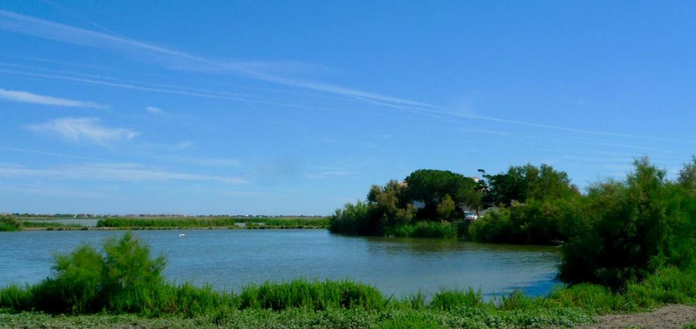 Mas Des Cabidoules Bed & Breakfast Saintes-Maries-de-la-Mer Exterior photo